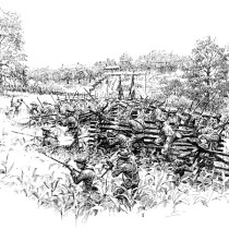 The Fight in the Cornfield | Wilson's Creek National Battlefield Foundation
