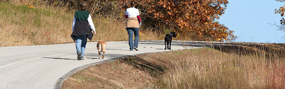 Wilson's Creek National Battlefield Dog Walkers