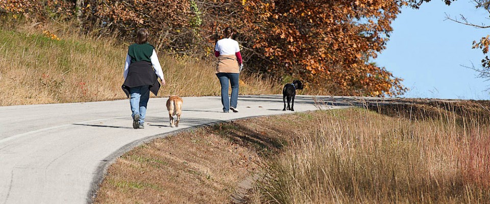 Wilson's Creek National Battlefield Dog Walkers