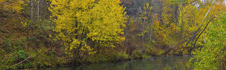 Wilson's Creek National Battlefield Creek