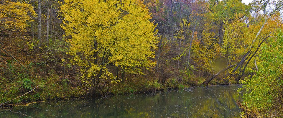 Wilson's Creek National Battlefield Creek