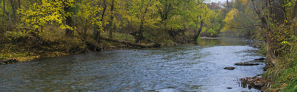 Wilson's Creek National Battlefield Creek