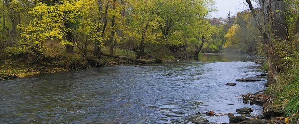 Wilson's Creek National Battlefield Creek